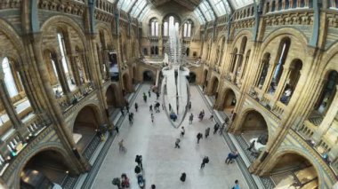 Londra mı? UK- 04.18.2024. Merdivenlerden Hintze Hall 'un yüksek açılı zaman çizelgesi. Balkondan sarkan fosilleri ve kalabalık ziyaretçileri gösteriyor..