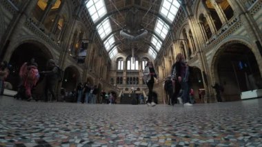 Londra mı? UK- 04.18.2024. Doğa Tarihi Müzesi Hintze Salonunda ziyaretçilerin düz, zemin manzarası, yavaş çekim.