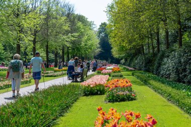Lisse, Hollanda... 05.02.2024. Keukenhof Lale Bahçeleri 'nde büyük bir ziyaretçi kalabalığı güneşli bir bahar gününde çiçeklerin tadını çıkarıyor..