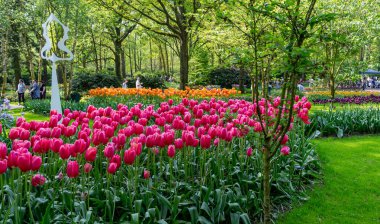 Lisse, Hollanda... 05.02.2024. Keukenhof lale Bahçesi, büyük bir parktaki güzel renkli laleler ve diğer çiçek bitkileriyle.
