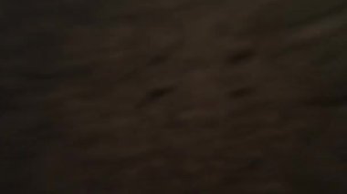 Gün batımında kumlu bir sahile dalgalar çarpıyor..