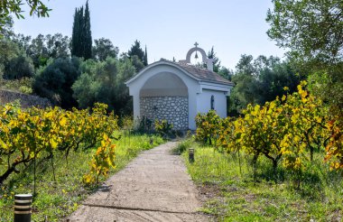 Lefkada, Yunanistan... 10.02.2024. Saint Anthony 'nin üzüm bağı içinde inşa ettiği küçük bir anıt kilise..