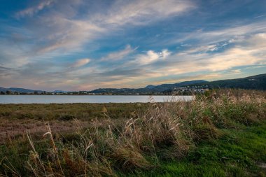 Sazlıklar, nemli bir arazinin kenarında büyüyorlar. Gün batımı için güzel bir hava bulutu. Bir doğa, ekoloji ve çevre geçmişi.