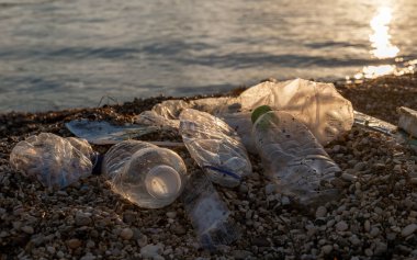 Plastik şişeler ve sahile atılmış diğer çöpler. Çevre kirliliği kavramı.