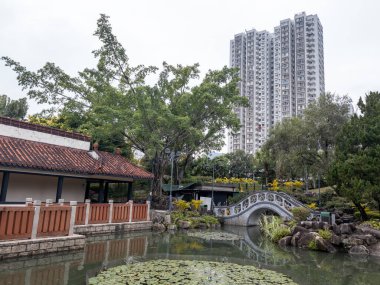 Hong Kong. Çin - 02.23.2025. Sha Tin Park 'ın uzak ucundaki Çin bahçesinde güzel bir kemer taşı köprüsü var..