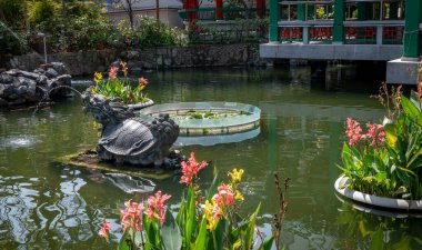 Hong Kong. Çin... 02.24.2025. Good Wish Garden gölündeki kaplumbağa heykelini kapatın. Shik Sik Yuen Wong Tai Sin Tapınağının geleneksel Çin bahçesi.