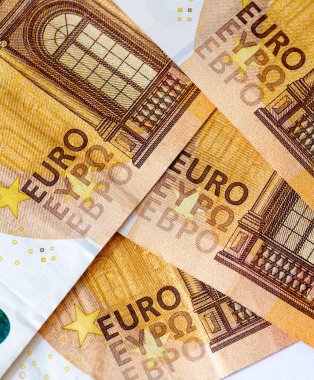 Avrupa Birliği 'nin Euro banknotlarında Avrupa' nın farklı dillerinde Euro kelimesi basılmıştır..