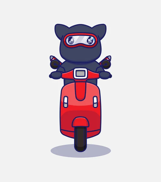 可爱的忍者猫骑着摩托车 — 图库矢量图片