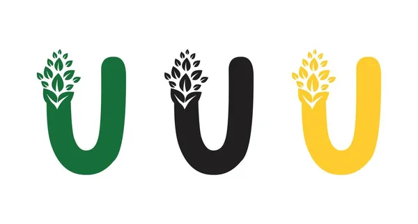 Buchstabe Erodiert Blatt Buchstabe Logo Designs Für Unternehmen Gesundheitswesen Natur — Stockvektor