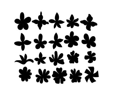 El çizilmiş çiçeklerin vektör çizimi.