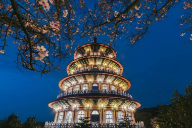 Tian Yuan Tapınağı, Taipei, Tayvan 'da bahar konsepti Pembe sakura çiçekleri