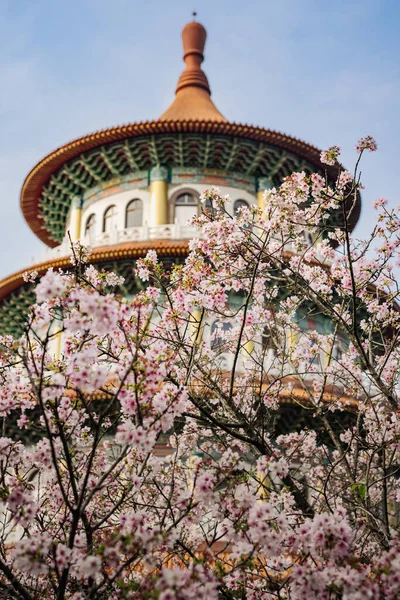 Spring Concept Pink Sakura Flowers Tian Yuan Temple Taipei Taiwan — Stock Photo, Image