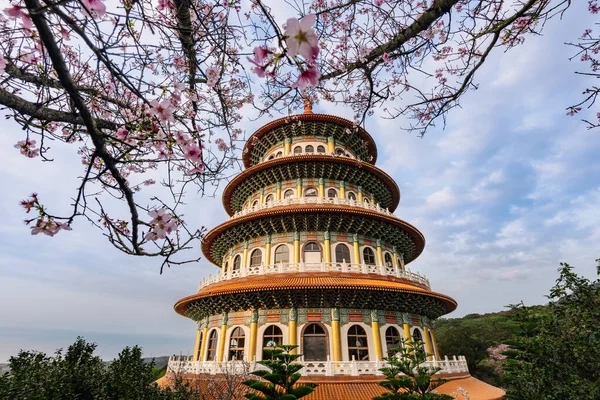 Vårkoncept Rosa Sakura Blommor Tian Yuan Tempel Taipei Taiwan — Stockfoto