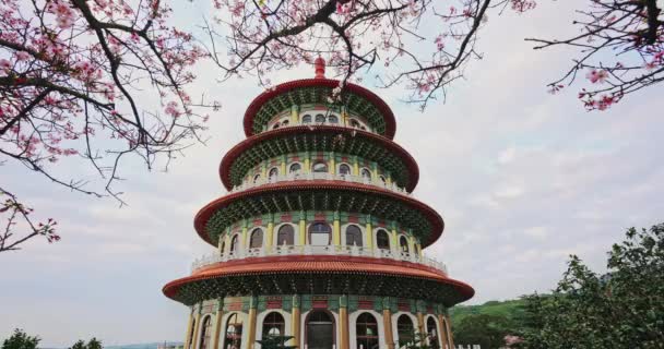 Vårkoncept Rosa Sakura Blommor Tian Yuan Tempel Taipei Taiwan — Stockvideo