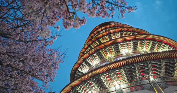 Άνοιξη Έννοια Ροζ Λουλούδια Sakura Στο Ναό Tian Yuan Ταϊπέι — Αρχείο Βίντεο