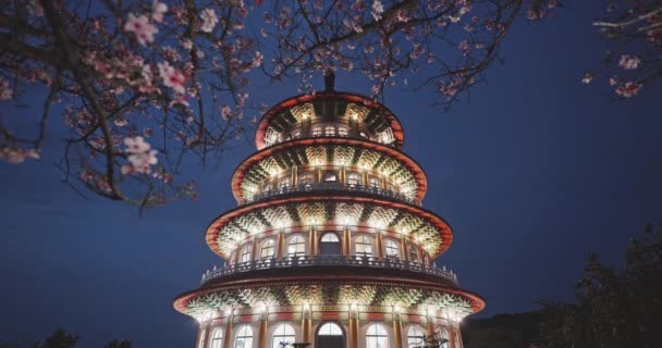 Spring Concept Pink Sakura Flowers Tian Yuan Temple Taipei Taiwan — Stock Video