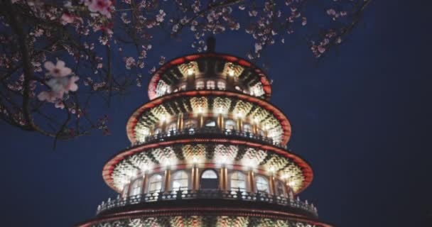 Concepto Primavera Flores Sakura Rosadas Templo Tian Yuan Taipei Taiwán — Vídeos de Stock