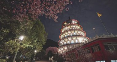 Tian Yuan Tapınağı, Taipei, Tayvan 'da bahar konsepti Pembe sakura çiçekleri