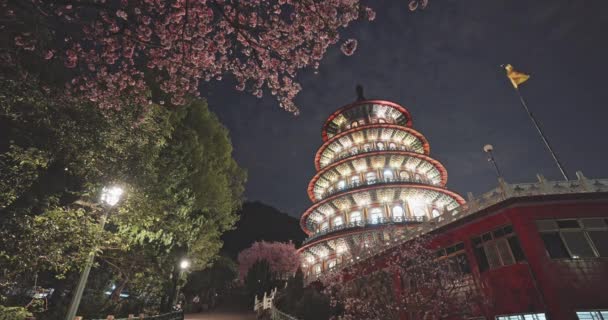 Conceito Primavera Flores Sakura Rosa Templo Tian Yuan Taipei Taiwan — Vídeo de Stock
