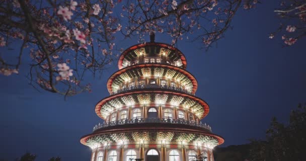 Jarní Koncept Růžové Sakura Květiny Chrámu Tian Yuan Taipei Tchaj — Stock video