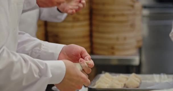 Hände Machen Und Chinesische Knödel Zubereiten — Stockvideo