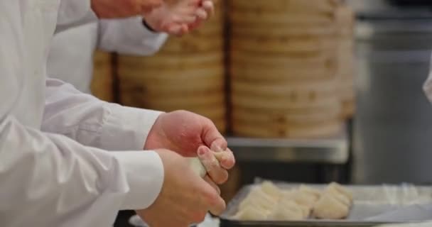 Mains Maade Préparation Boulettes Chinoises — Video