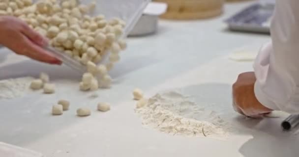 Hands Maade Preparing Chinese Dumplings — Stock Video