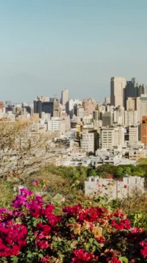 Taipei şehrinin güzel şafak manzarası bahar, Tayvan