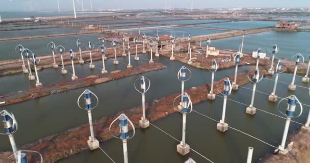 Generadores Energía Eólica Central Eólica Wang Gong Fangyuan Changhua Taiwán — Vídeos de Stock