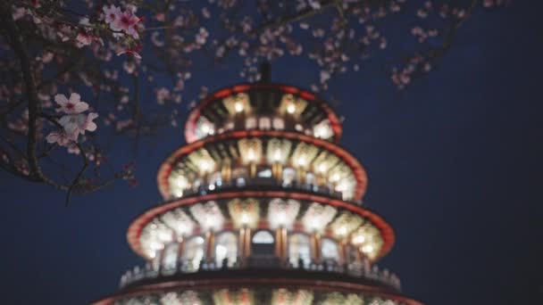Concepto Primavera Dolly Pink Sakura Flower Tian Yuan Temple Taipei — Vídeos de Stock