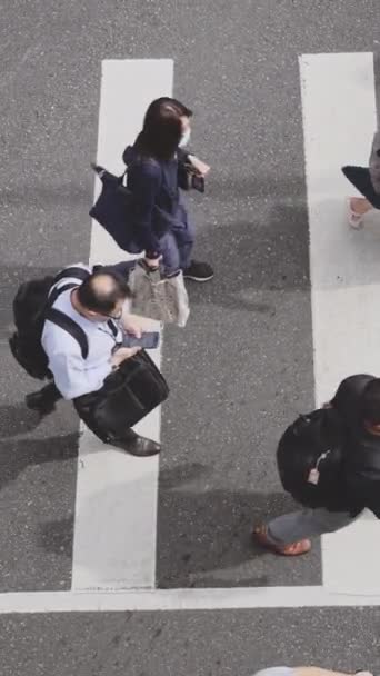 Kalabalığın Yoğun Caddelerin Yoğun Saatlerinde Uzun Gölgesi — Stok video