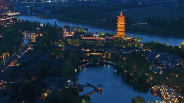 Yavaş çekim: Güzel kelebek çiçeklerin ve gün ışığında otlakların üzerinde uçuyor