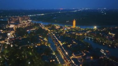 Yavaş çekim: Güzel kelebek çiçeklerin ve gün ışığında otlakların üzerinde uçuyor