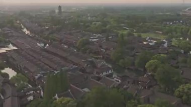 Yavaş çekim: Güzel kelebek çiçeklerin ve gün ışığında otlakların üzerinde uçuyor