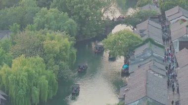 Yavaş çekim: Güzel kelebek çiçeklerin ve gün ışığında otlakların üzerinde uçuyor