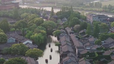 Yavaş çekim: Güzel kelebek çiçeklerin ve gün ışığında otlakların üzerinde uçuyor