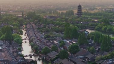 Yavaş çekim: Güzel kelebek çiçeklerin ve gün ışığında otlakların üzerinde uçuyor