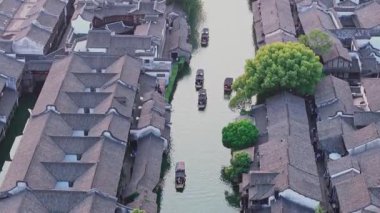 Yavaş çekim: Güzel kelebek çiçeklerin ve gün ışığında otlakların üzerinde uçuyor