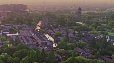 Yavaş çekim: Güzel kelebek çiçeklerin ve gün ışığında otlakların üzerinde uçuyor