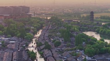 Yavaş çekim: Güzel kelebek çiçeklerin ve gün ışığında otlakların üzerinde uçuyor