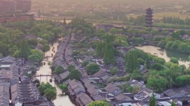 Yavaş çekim: Güzel kelebek çiçeklerin ve gün ışığında otlakların üzerinde uçuyor