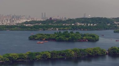 Yavaş çekim: Güzel kelebek çiçeklerin ve gün ışığında otlakların üzerinde uçuyor