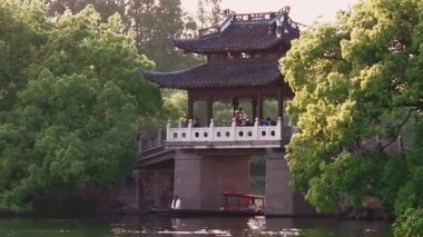 Yavaş çekim: Güzel kelebek çiçeklerin ve gün ışığında otlakların üzerinde uçuyor