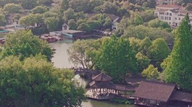 Yavaş çekim: Güzel kelebek çiçeklerin ve gün ışığında otlakların üzerinde uçuyor