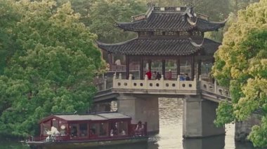 Yavaş çekim: Güzel kelebek çiçeklerin ve gün ışığında otlakların üzerinde uçuyor