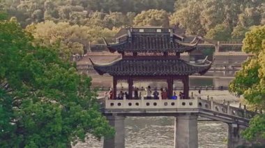 Yavaş çekim: Güzel kelebek çiçeklerin ve gün ışığında otlakların üzerinde uçuyor