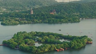 Yavaş çekim: Güzel kelebek çiçeklerin ve gün ışığında otlakların üzerinde uçuyor