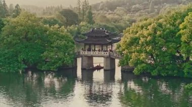 Yavaş çekim: Güzel kelebek çiçeklerin ve gün ışığında otlakların üzerinde uçuyor