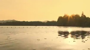 Yavaş çekim: Güzel kelebek çiçeklerin ve gün ışığında otlakların üzerinde uçuyor