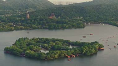 Yavaş çekim: Güzel kelebek çiçeklerin ve gün ışığında otlakların üzerinde uçuyor